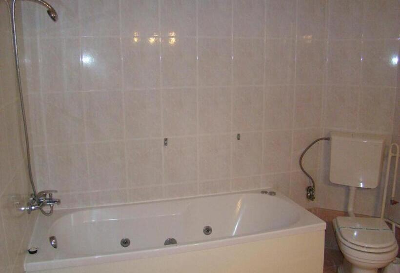 חדר סטנדרט יחיד, Pensiunea Vlad