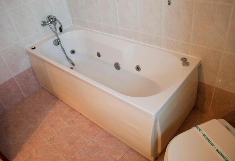 חדר סטנדרט יחיד, Pensiunea Vlad