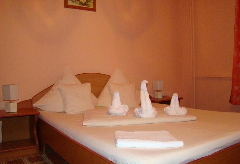 חדר סטנדרט יחיד, Pensiunea Vlad