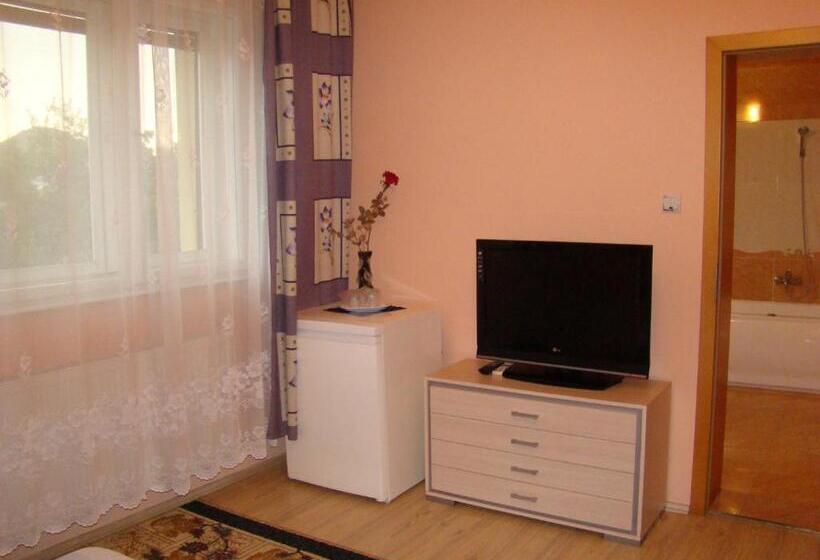 חדר סטנדרט לשלושה, Pensiunea Vlad