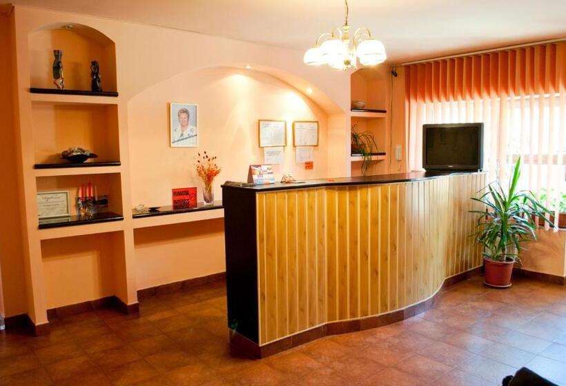 חדר סטנדרט לשלושה, Pensiunea Vlad