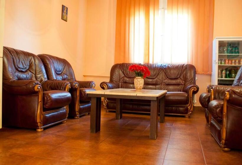 חדר סטנדרט לשלושה, Pensiunea Vlad