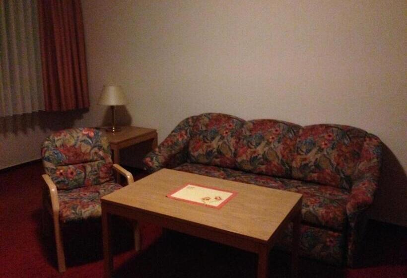 Номер Стандарт, Zur Panke