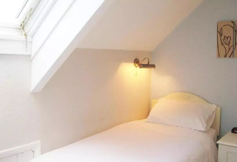 スタンダードシングルルーム, Dunedin Guest House
