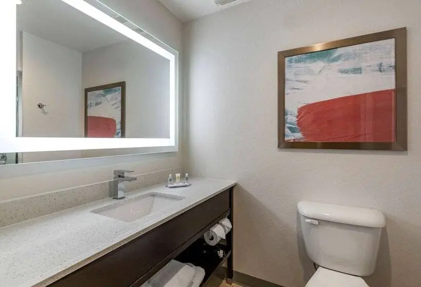 スイート, Comfort Inn & Suites Bennett