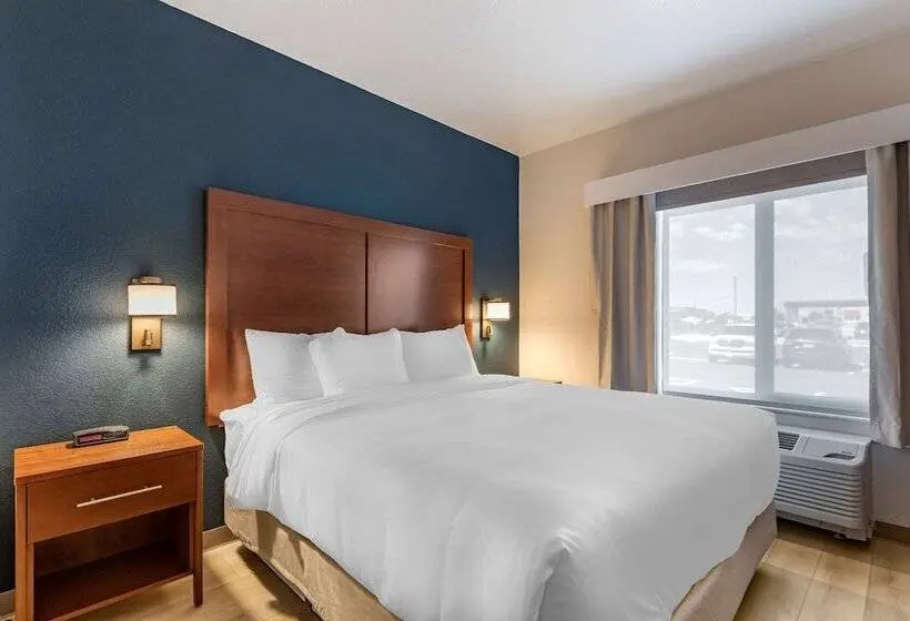 スイート, Comfort Inn & Suites Bennett