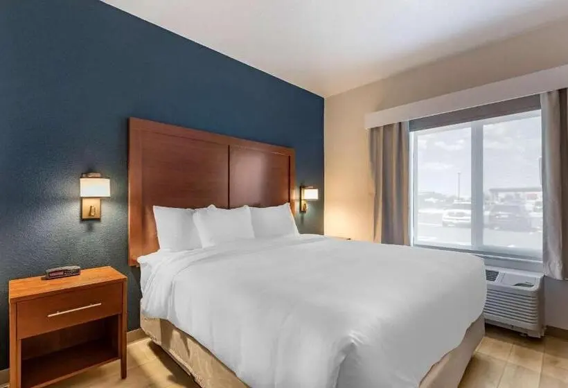 キングサイズベッドのスタンダードルーム, Comfort Inn & Suites Bennett