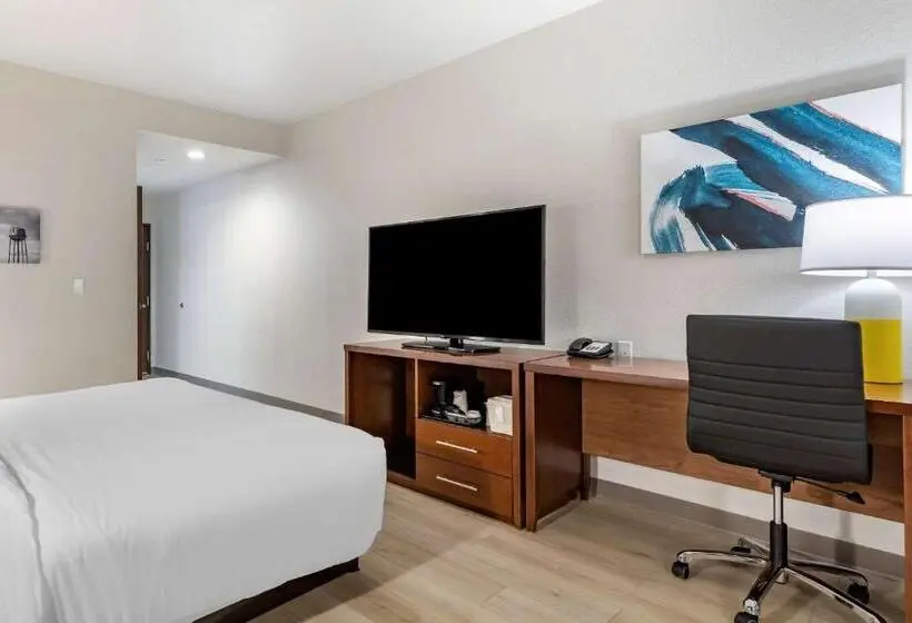 キングサイズベッドのスタンダードルーム, Comfort Inn & Suites Bennett