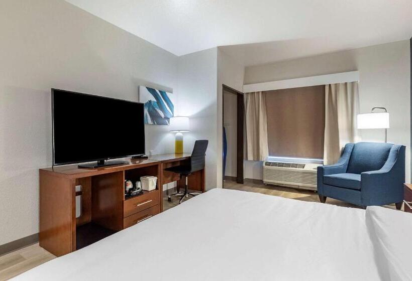 غرفة قياسية سرير كينج, Comfort Inn & Suites Bennett