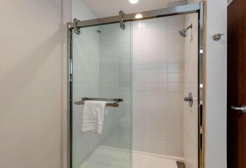 Номер Стандарт, Comfort Inn & Suites Bennett