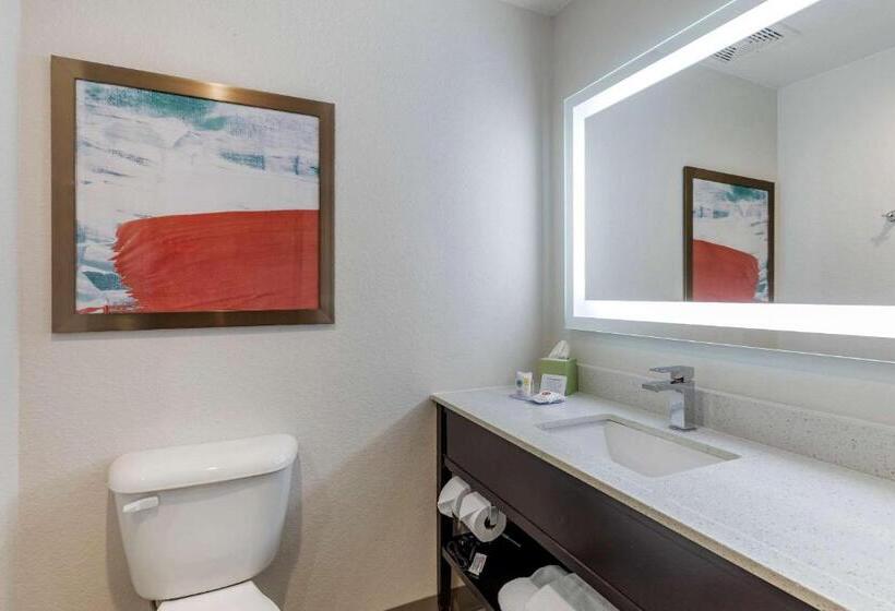 جناح سرير كينج, Comfort Inn & Suites Bennett