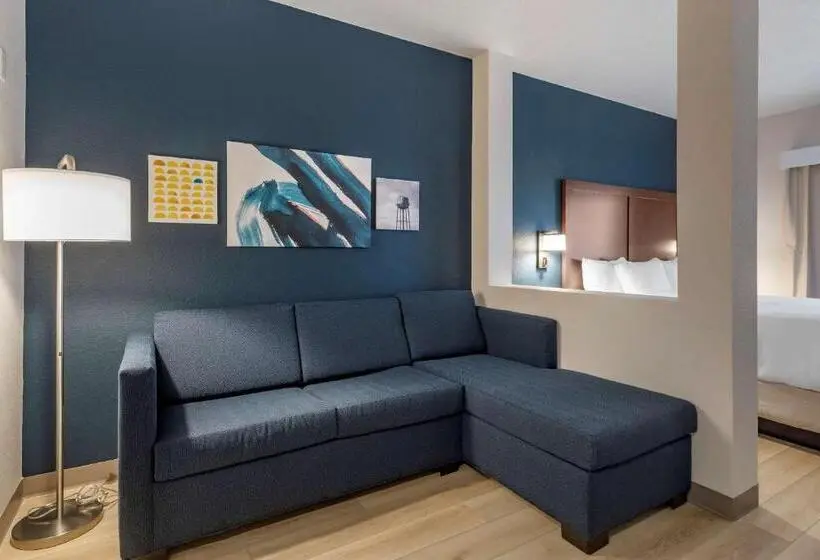 キングサイズベッドのスイートルーム, Comfort Inn & Suites Bennett
