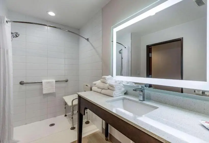 身障者適用スイートルーム, Comfort Inn & Suites Bennett
