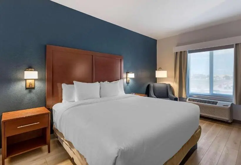 身障者適用キングサイズベッドルーム, Comfort Inn & Suites Bennett