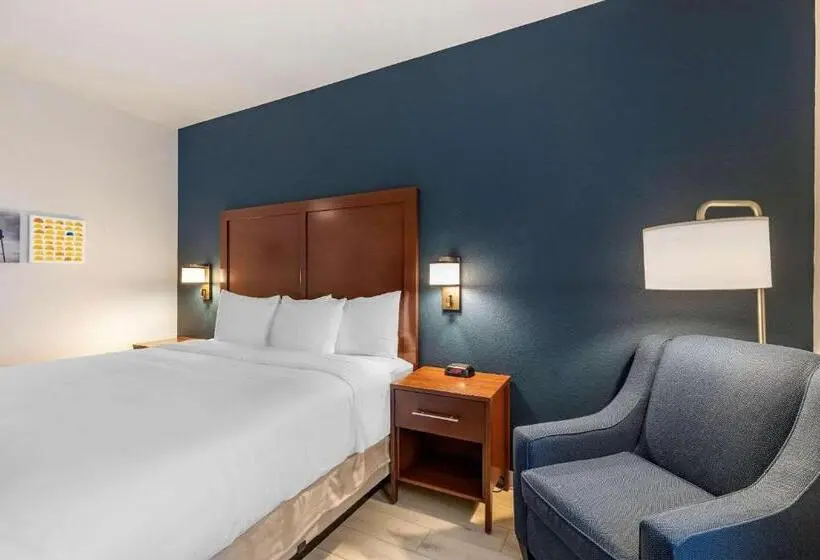 身障者適用キングサイズベッドルーム, Comfort Inn & Suites Bennett