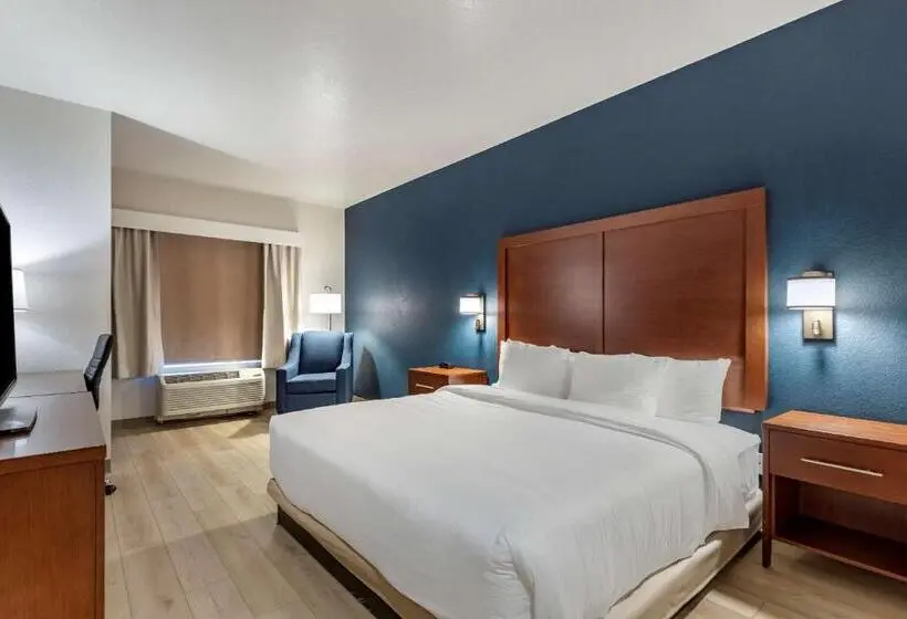 身障者適用キングサイズベッドルーム, Comfort Inn & Suites Bennett