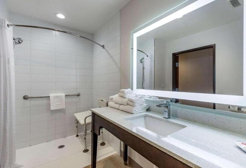 غرفة قياسية سرير كينج لذوى الإحتياجات الخاصة, Comfort Inn & Suites Bennett