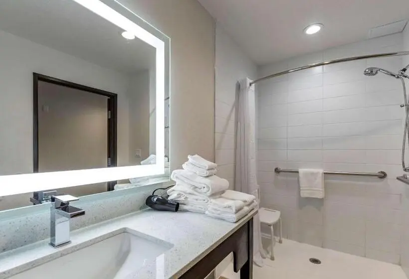 身障者適用スタンダードルーム, Comfort Inn & Suites Bennett