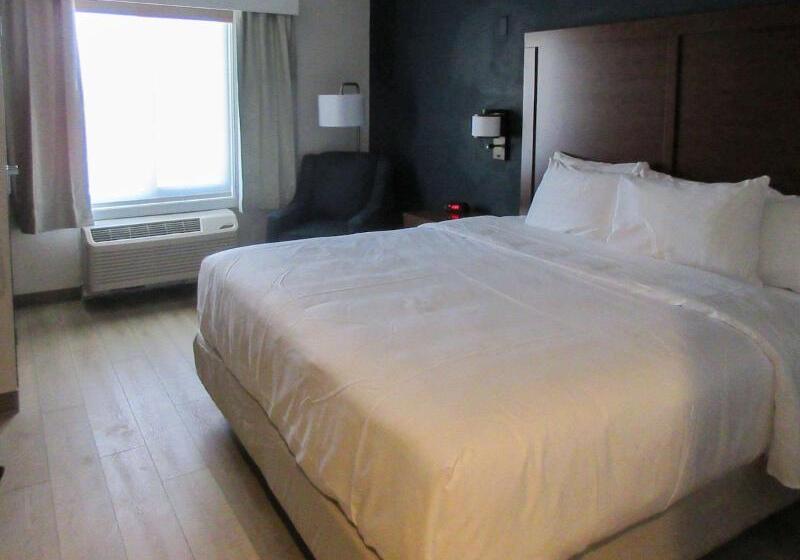 جناح سرير كينج, Comfort Inn & Suites Bennett