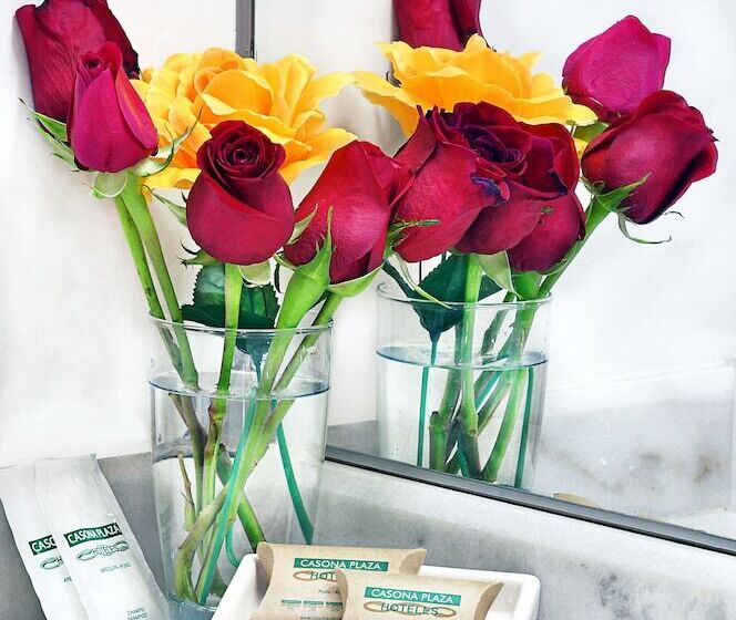 スタンダードルーム, Casona Plaza Hotel Centro