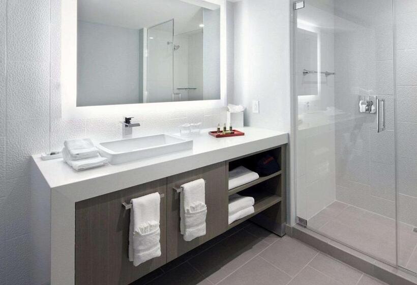 장애인을 위한 스위트, Hyatt Washington Dc/convention Center