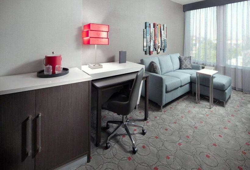 수피리어 스위트, Hyatt Washington Dc/convention Center