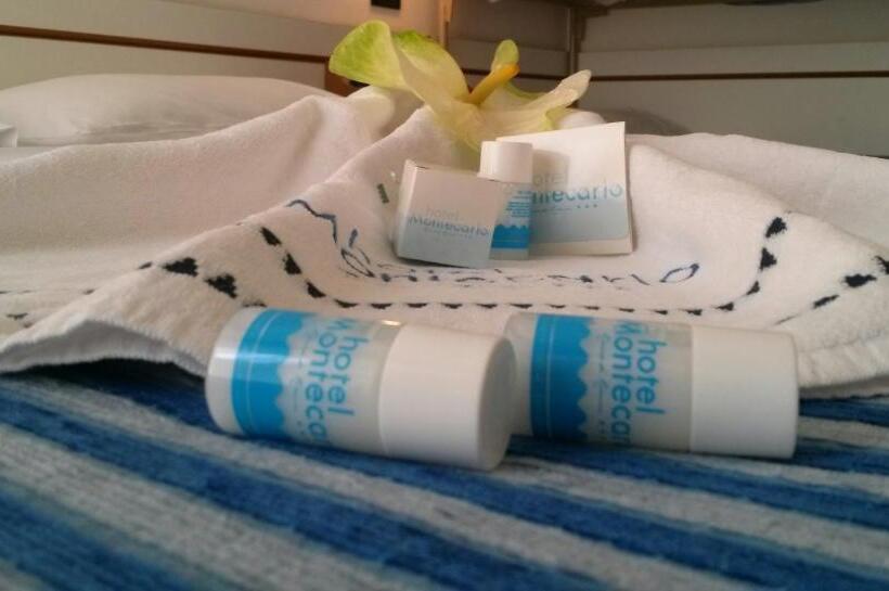 غرفة قياسية رباعية, Montecarlo