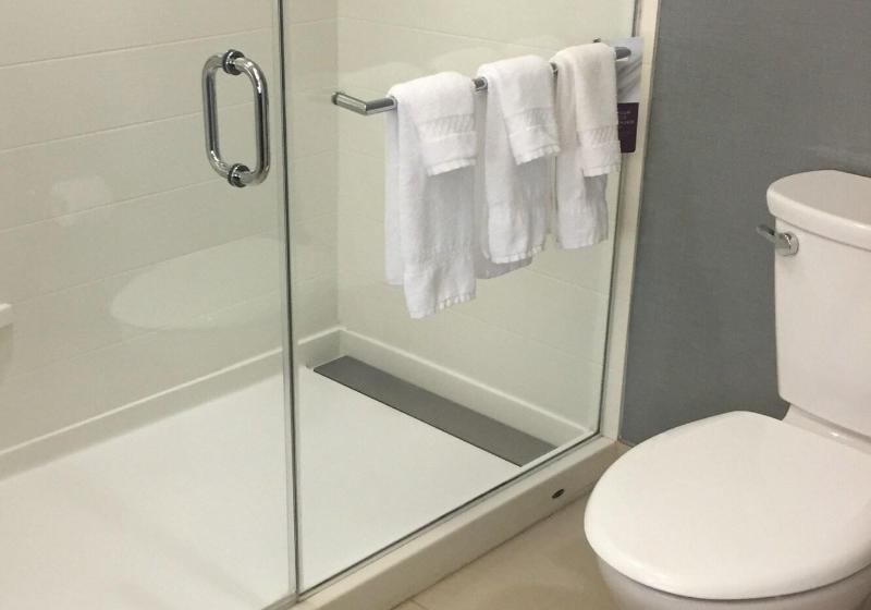 带大床的套房, Residence Inn By Marriott Albany Clifton Park