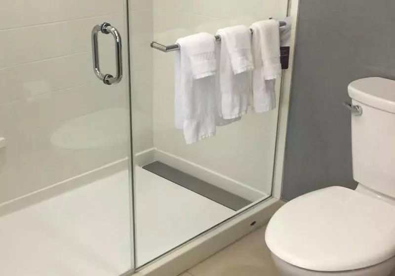 Sviitti King-vuode, Residence Inn By Marriott Albany Clifton Park