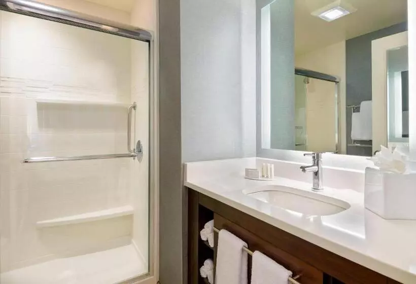 キングサイズベッドのスイートルーム, Residence Inn By Marriott Fort Myers At I 75 And Gulf Coast Town Center