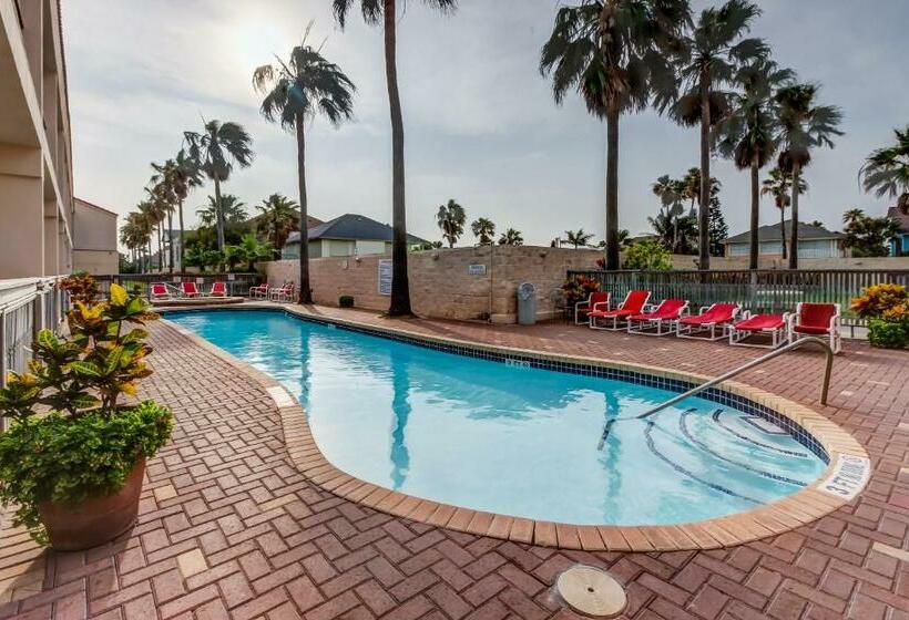 침실 2개 아파트, Dolphin #16