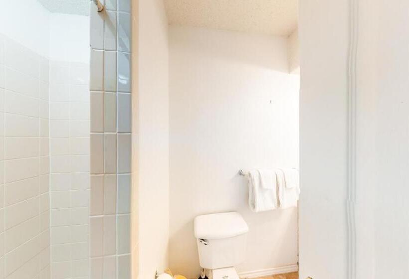 침실 2개 아파트, Dolphin #16