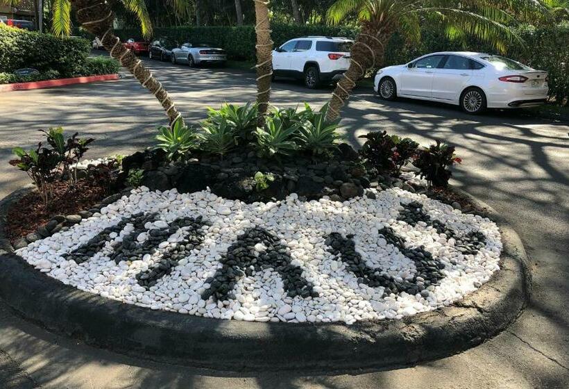 إستوديو قياسى, Maui Kai 507