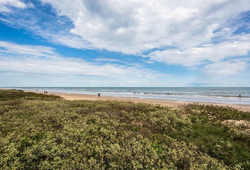 شقة غرفتين, Palm Tree Escape