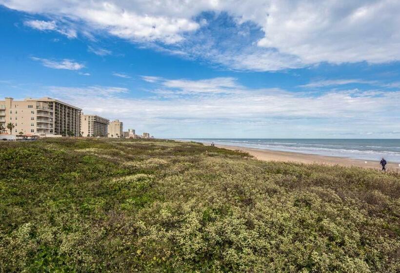 شقة غرفتين, Palm Tree Escape