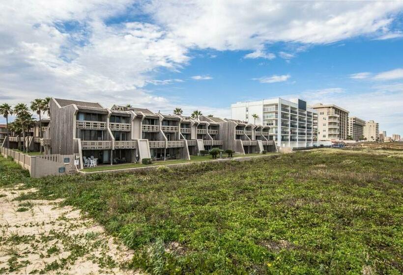 شقة غرفتين, Palm Tree Escape