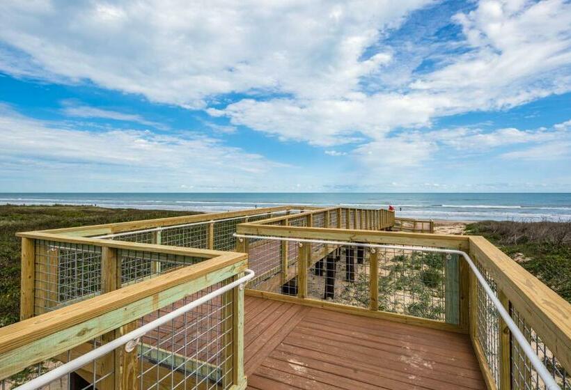 شقة غرفتين, Palm Tree Escape