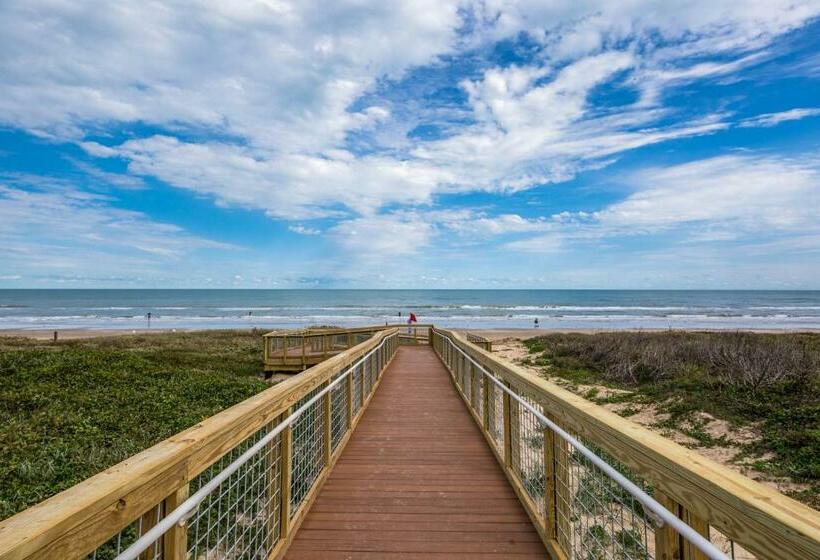 شقة غرفتين, Palm Tree Escape