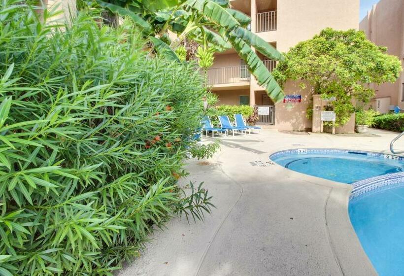 شقة غرفتين, Palm Tree Escape