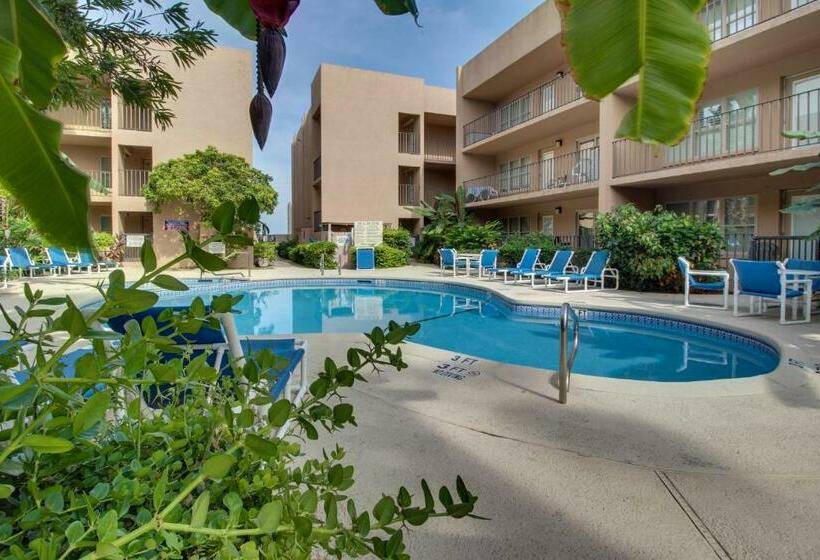 شقة غرفتين, Palm Tree Escape