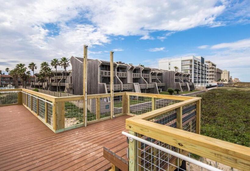 شقة غرفتين, Palm Tree Escape