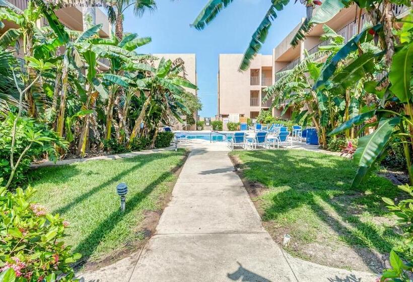 Апартаменты 2 Спальни, Palm Tree Escape