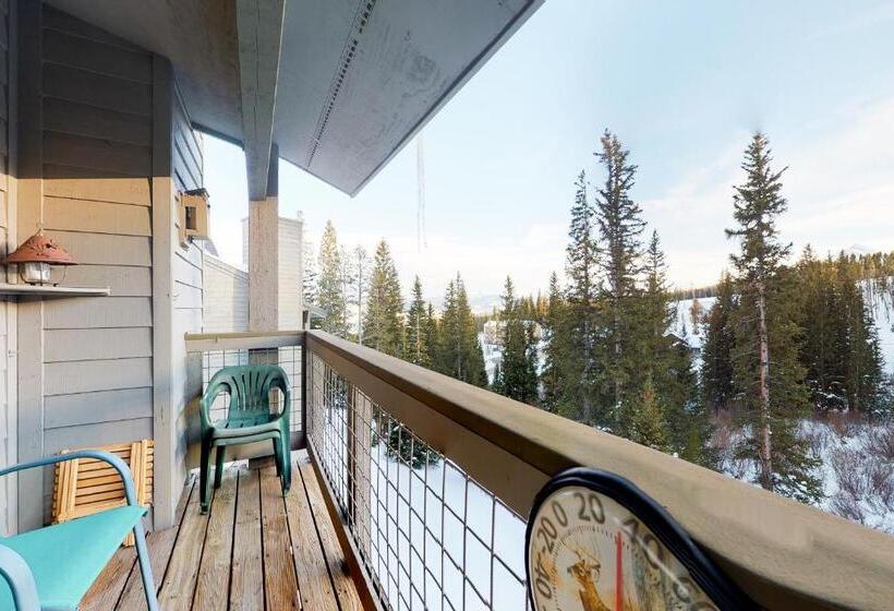 带3个卧室的公寓, Wildernest Gore Trail Condo