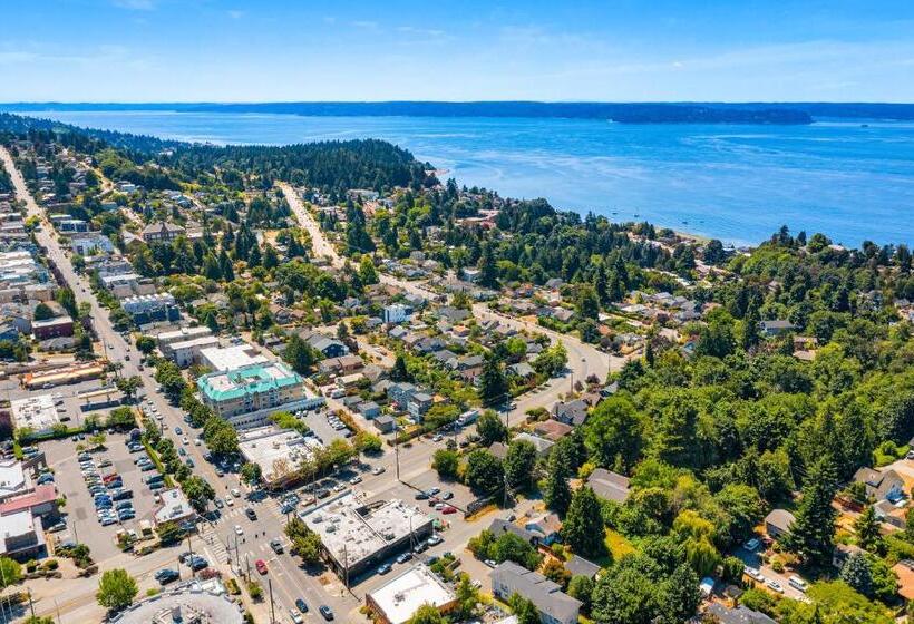 스탠다드 스튜디오, The Treehouse