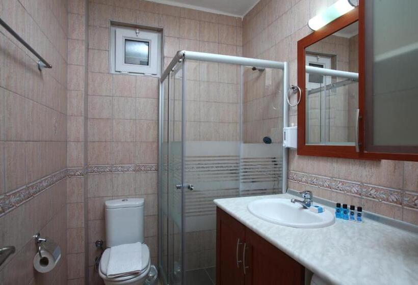 １ベッドルームアパートメント, Aktur Residence