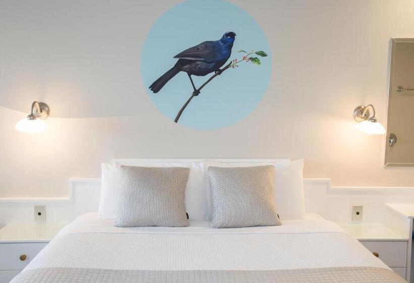 豪华工作室, Boulevard Waters