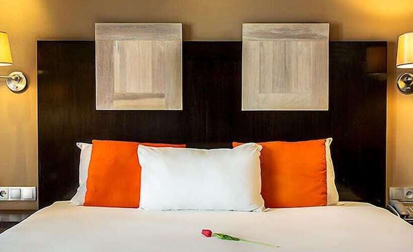 اتاق سوپریور, Cafe De Rome