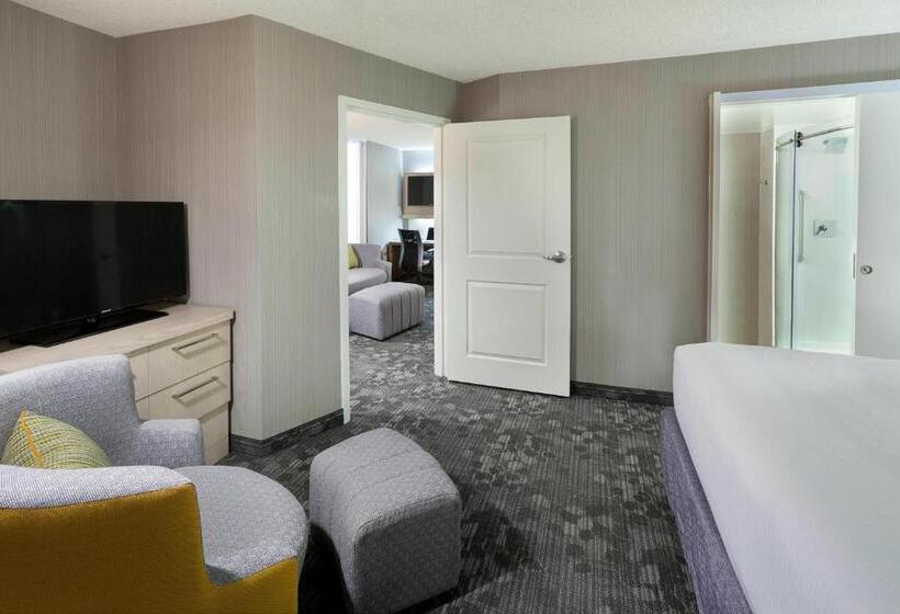 带大床的套房, Courtyard By Marriott Toronto Northeast/markham