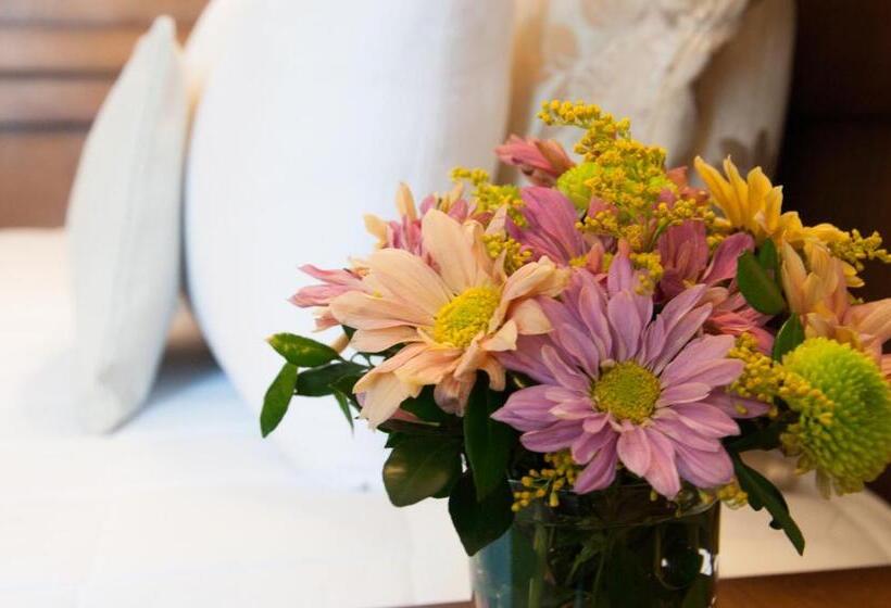 سوییت جونیور, De La Trinidad