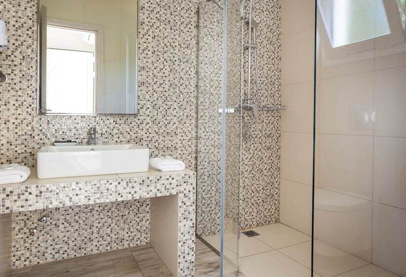 디럭스 룸, Dionysos Village Resort